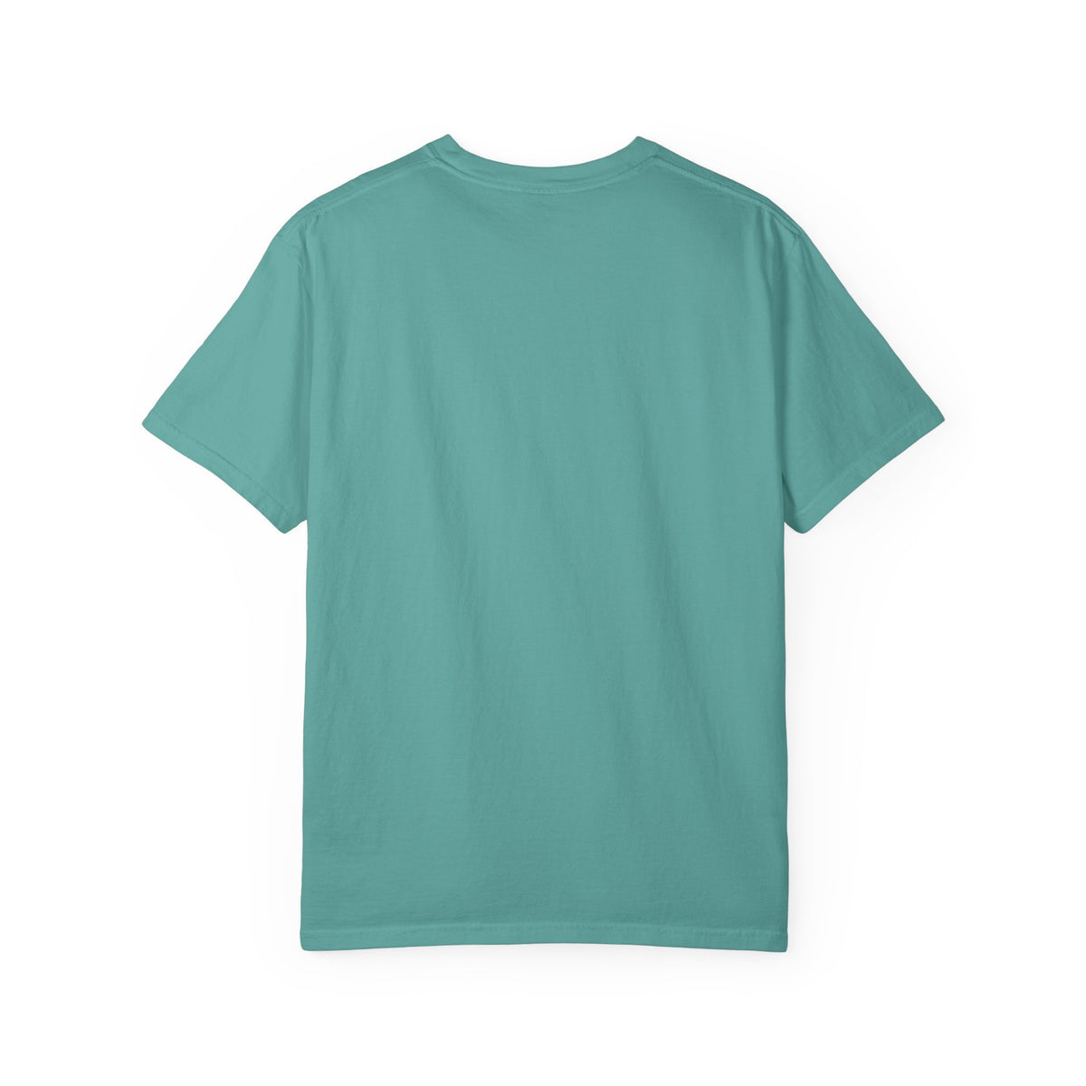 Baby Catcher Labor and Delivery Nurse Comfort Colors T-Shirt
